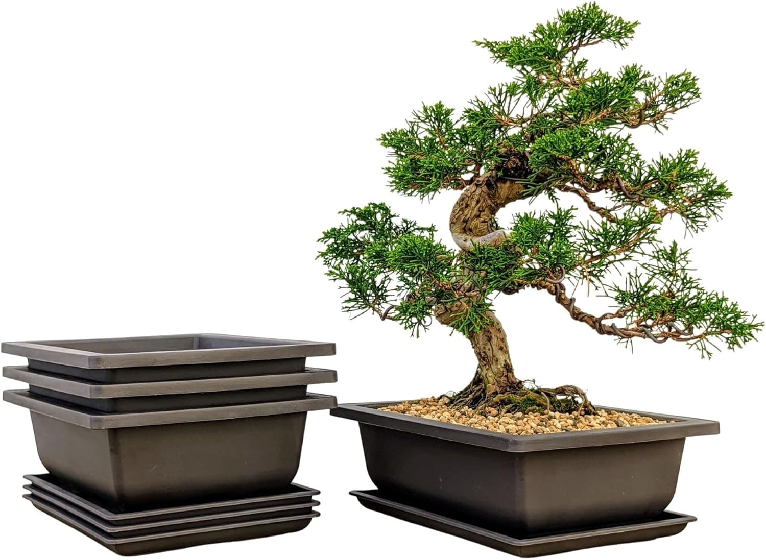 Bonsai Outlet Training Pots with Humidity Trays - Built in Mesh, Brown 8-Inch Large Planters, Set of 3