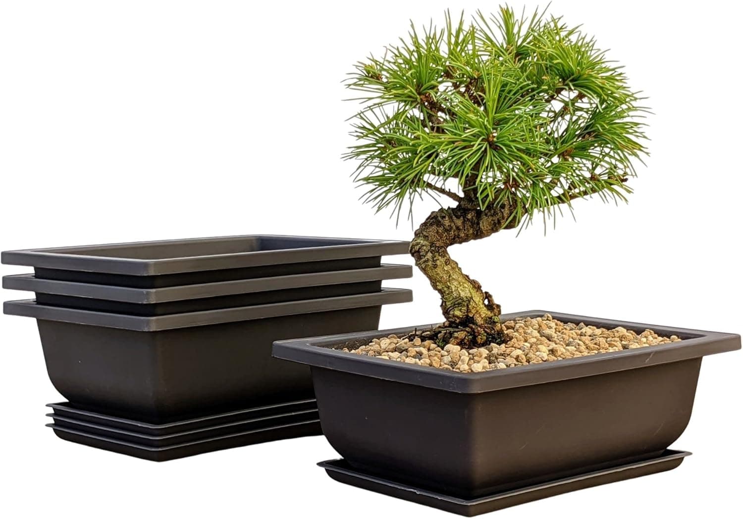 Bonsai Outlet Training Pots with Humidity Trays - Built in Mesh, Six Inch Large Planters, Set of 3