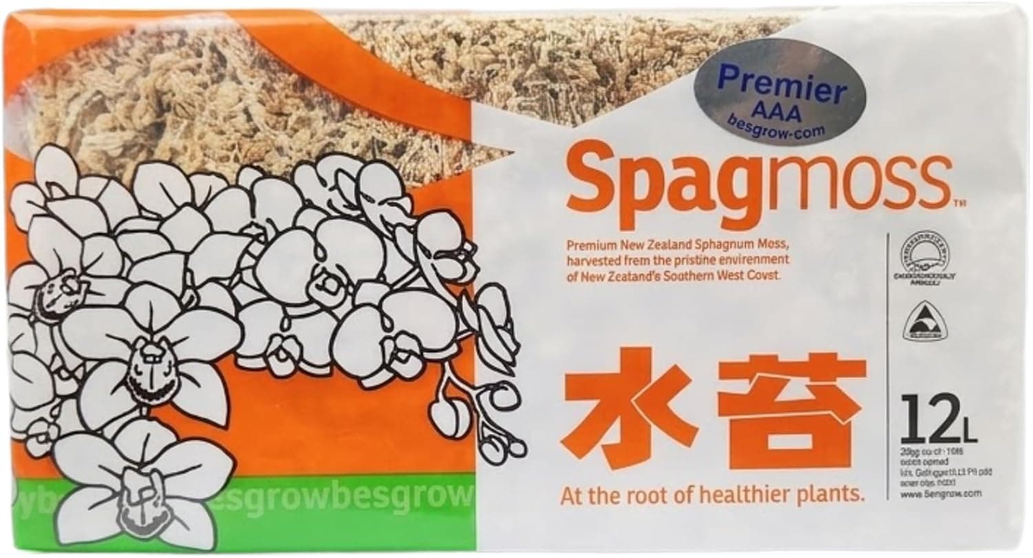 besgrow Premium New Zealand Sphagnum Moss, 150g Premier AAA Grade, 6 Inch Strands