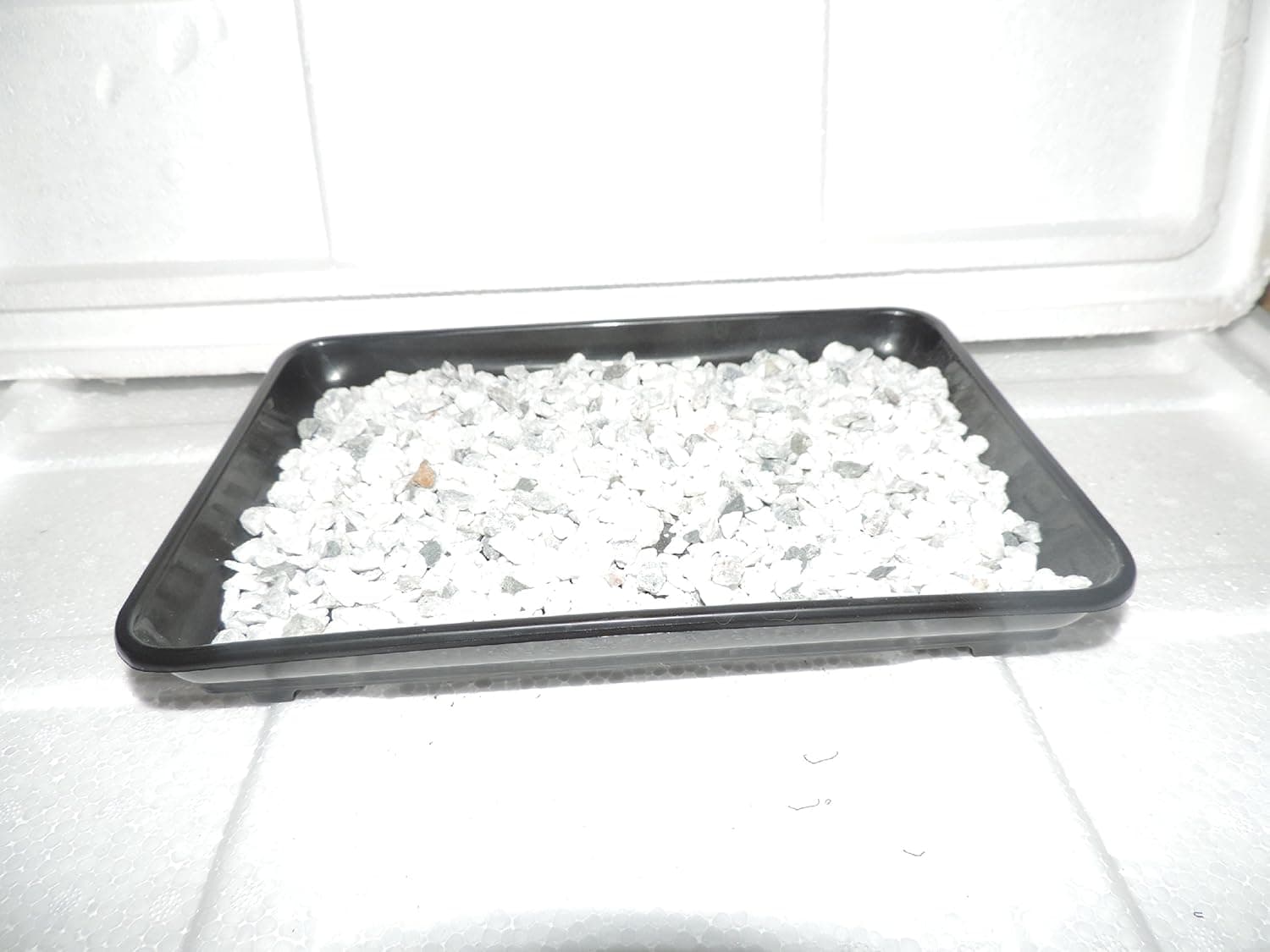 Best Humidity Trays for Bonsai
