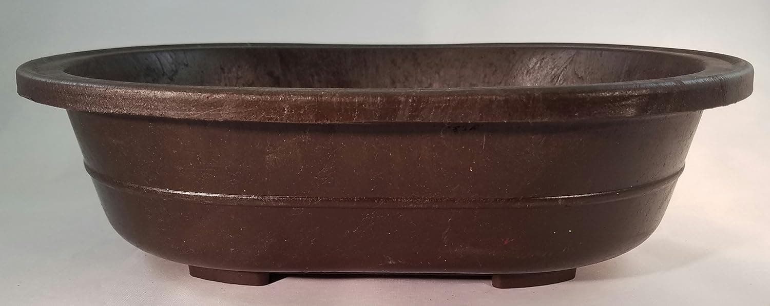 Oval Mica Bonsai Training Pot, Superior to Plastic, Exterior Dimensions 11 3/8 x 8 1/8 x 3 1/4