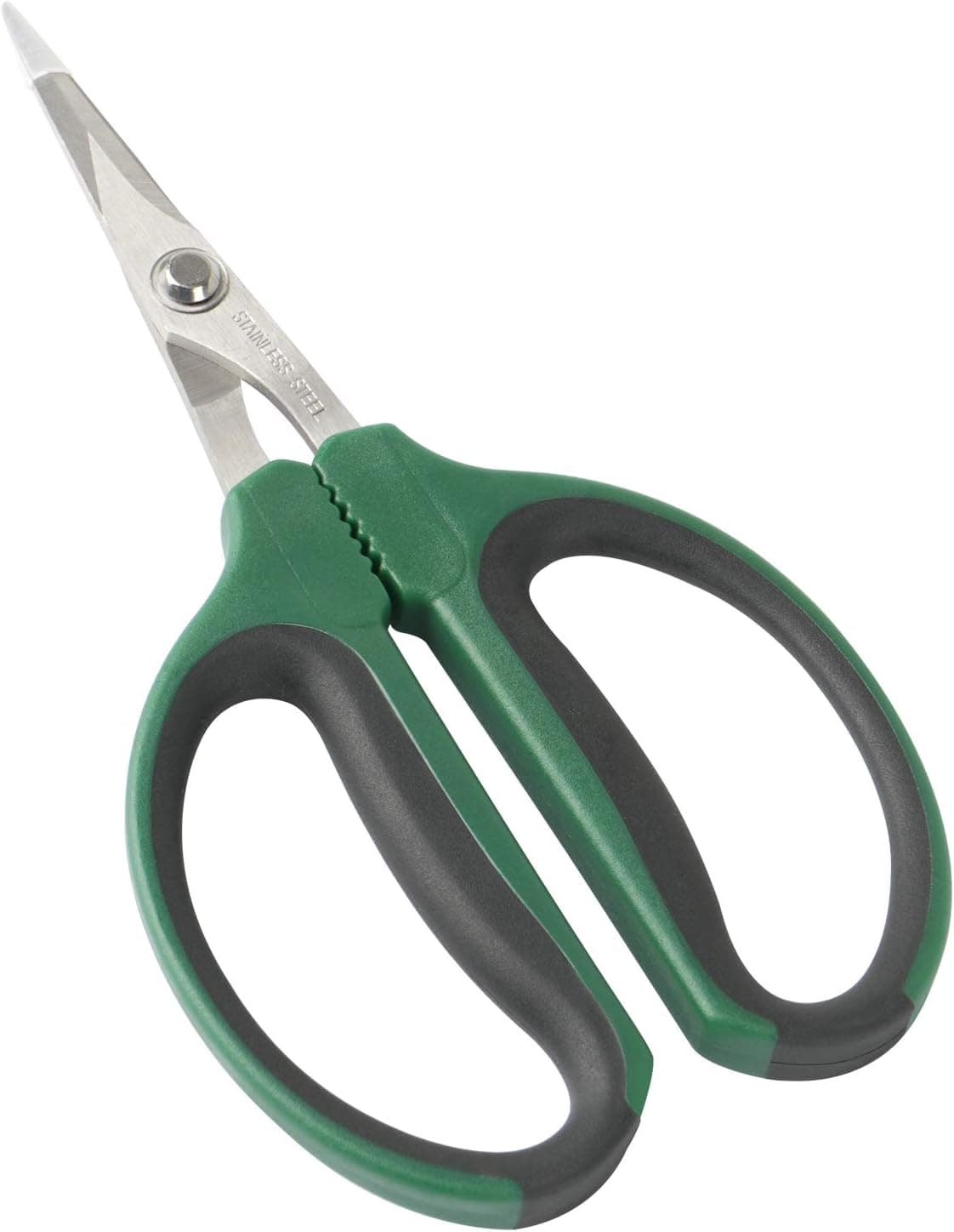 Best Bonsai Shears