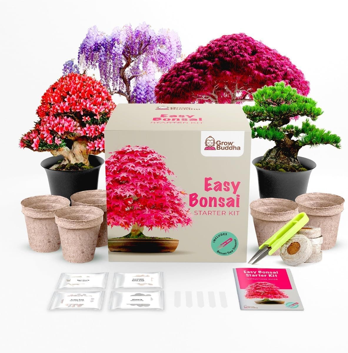 Grow Your Own Bonsai Tree Kit - Easily Grow 4 Types of Bonsai Tree with Complete Beginner Friendly Bonsai Starter Kit