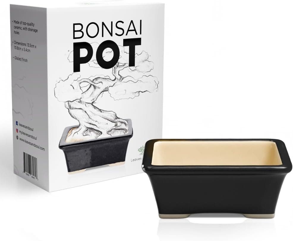 Glazed Ceramic Bonsai Pot - Black Rectangular Planter for Succulents and Small Plants
