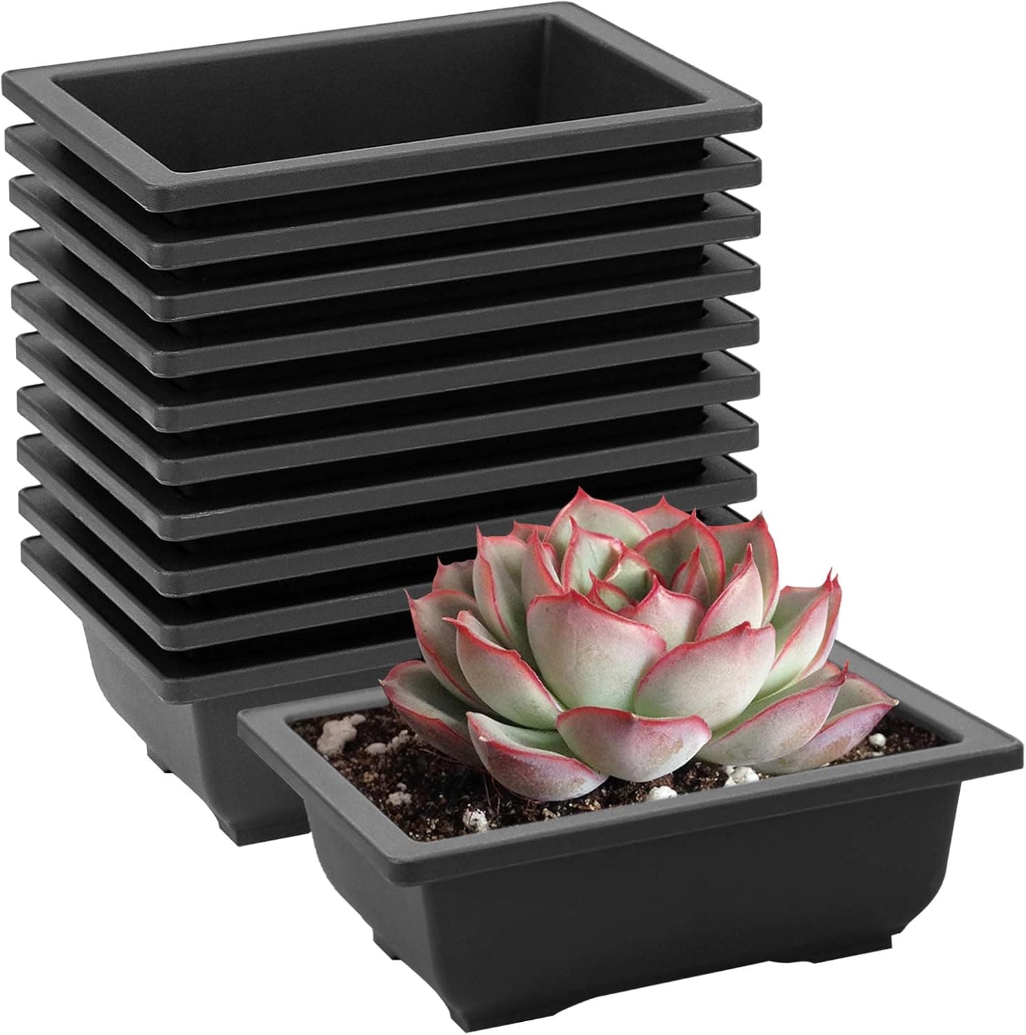 HOZEON 30 Pack 6.5 Inch Rectangular Plastic Bonsai Training Pots, Premium Growing Plant Pot Container