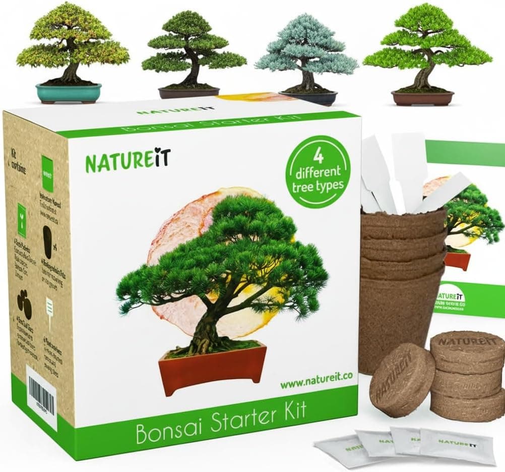 Bonsai Tree Kit for Beginners - Indoor Bonsai Starter Kit with Seeds to Grow 4 Unique Live Trees