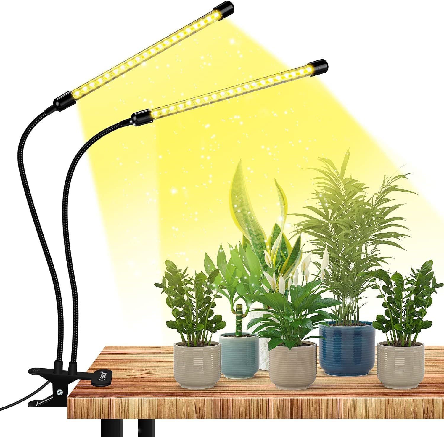 Best Grow Lights for Bonsai
