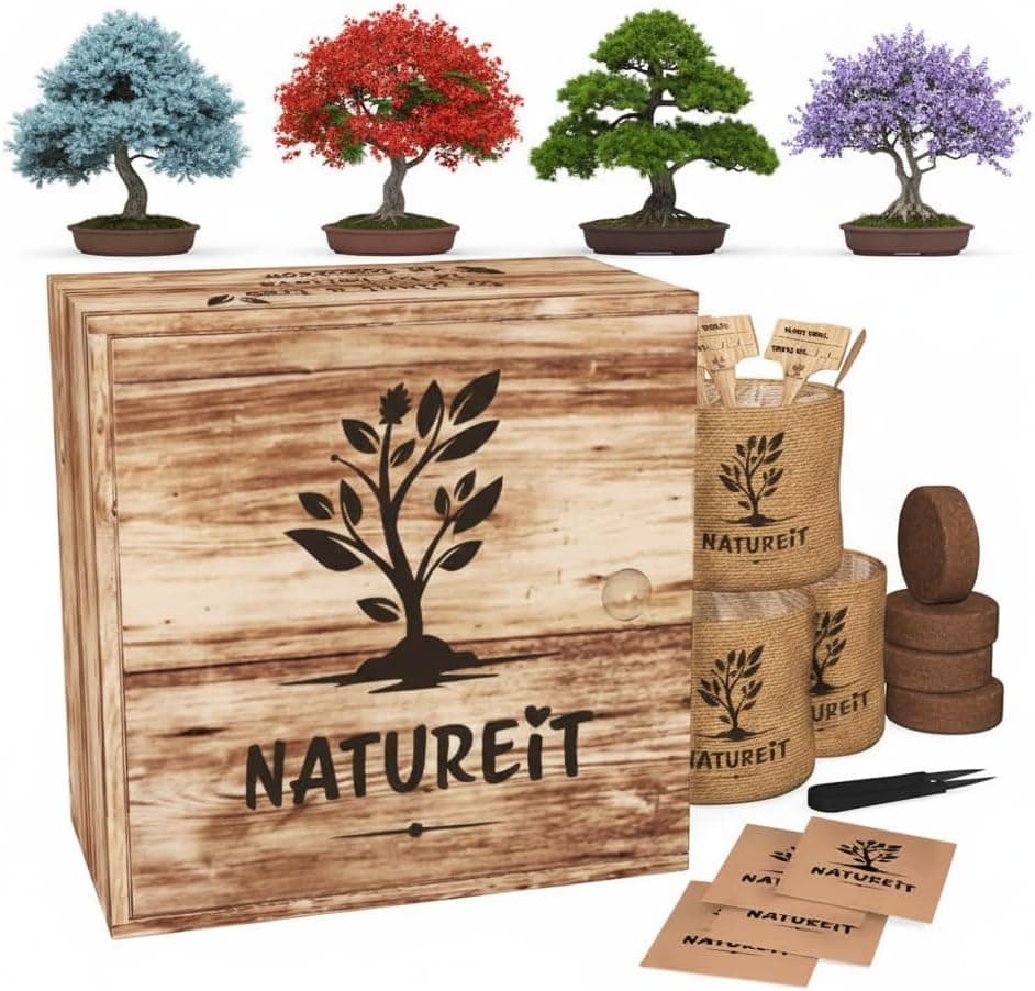 Natureit Bonsai Tree Kit - Unique Wooden Growing Kit to Grow 4 Types of Bonsai Trees from Seeds
