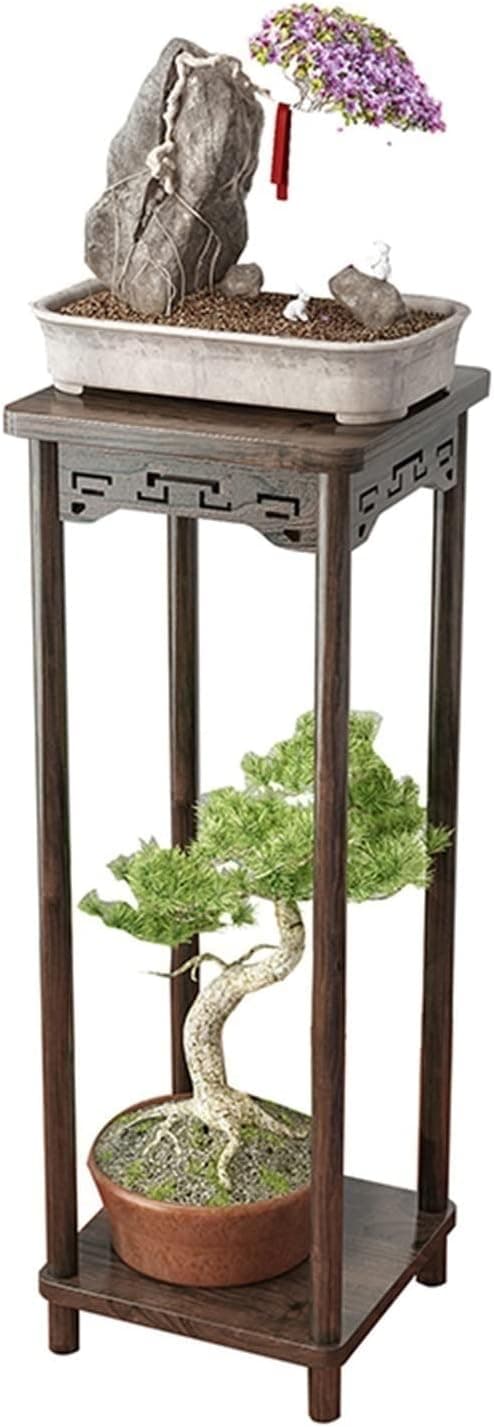 Best Bonsai Display Stands