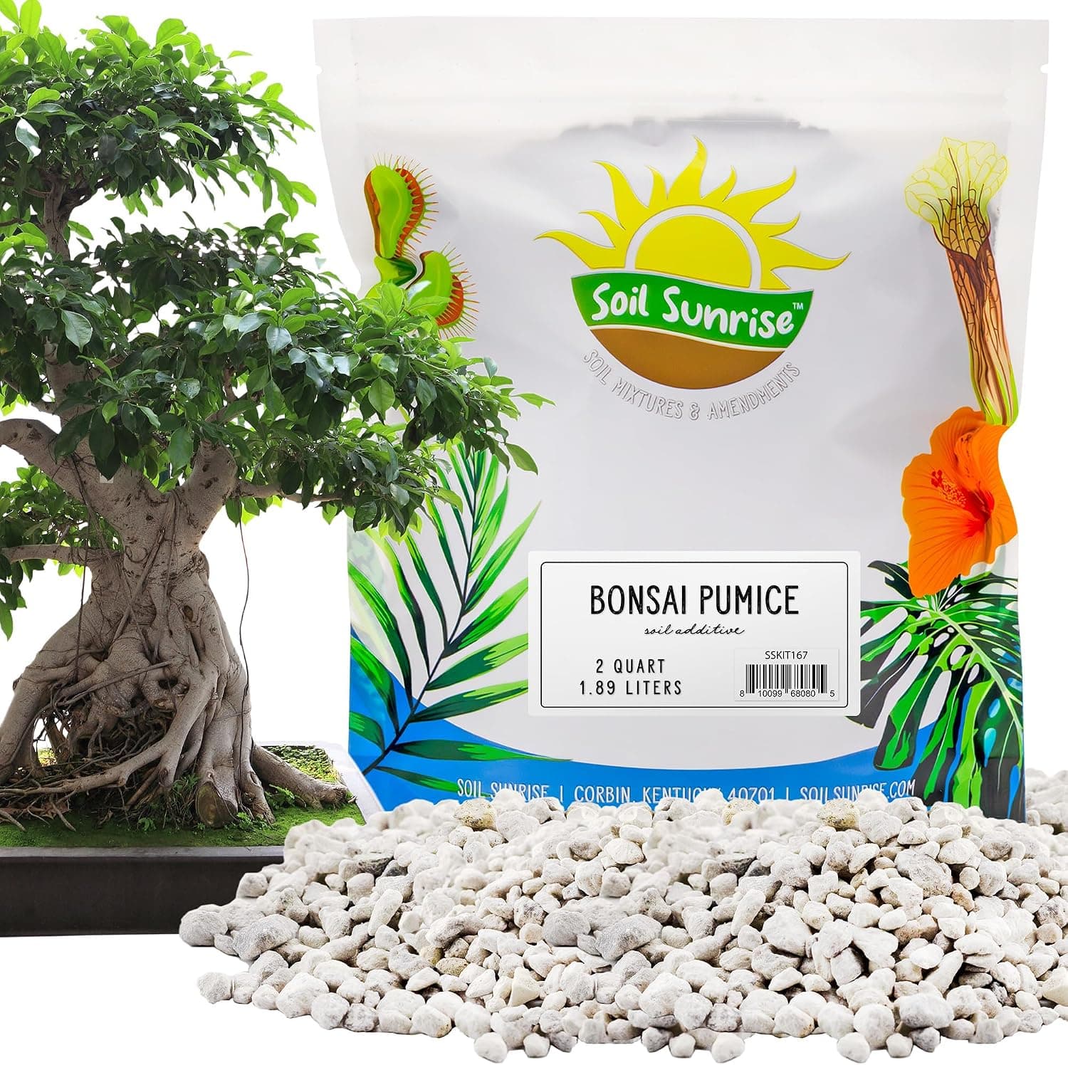 Horticultural Bonsai Pumice Soil Additive (2 Quarts), 3.5LB Ideal Substrate for Bonsai Trees, Cactus and Succulents