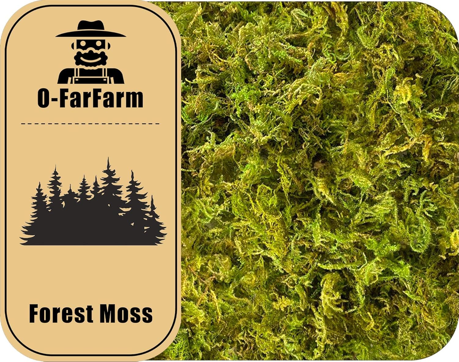 O-FarFarm Dried Forest Moss for Plants 5.3oz, Green Orchid Sphagnum Moss, Long Fibered Dried Moss