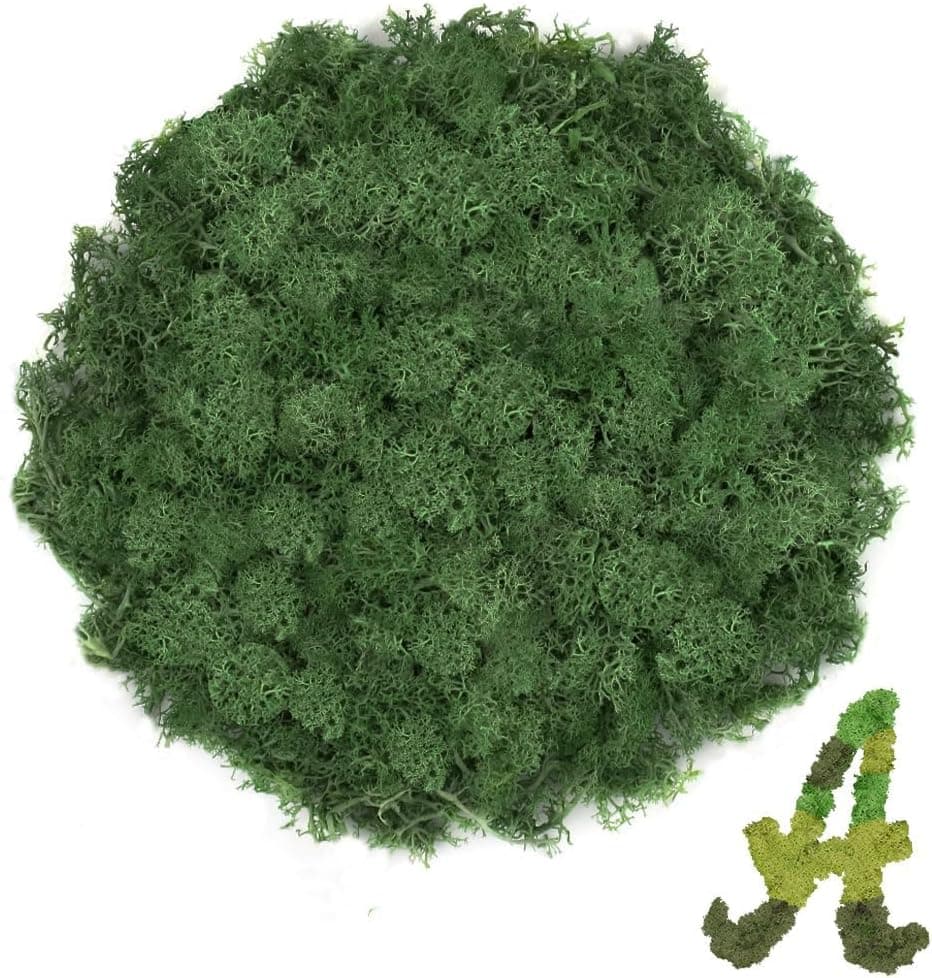 TCYPUHL 3.5 oz Dark Green Reindeer Moss, Preserved Moss for Plants and Craft Decor
