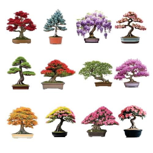12 Variety Bonsai Tree Seed Kit | 300+ Seeds for Growing & Training