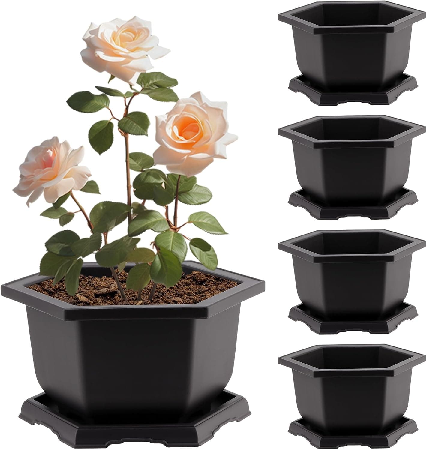 Best Bonsai Pots