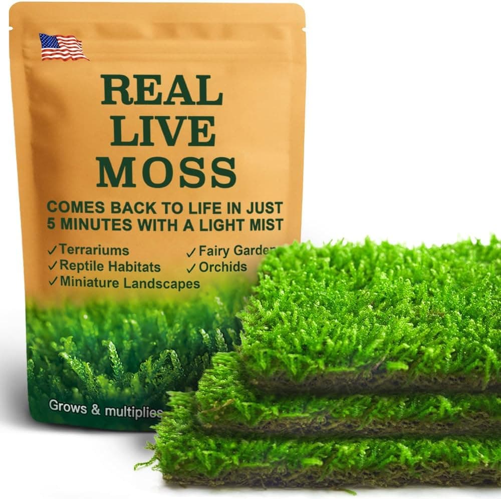 LuckyRunes Live Hypnum Moss 3-Pack 3.5x7in for Terrariums & Plant Decor, Natural Ground Cover, Bonsai Displays