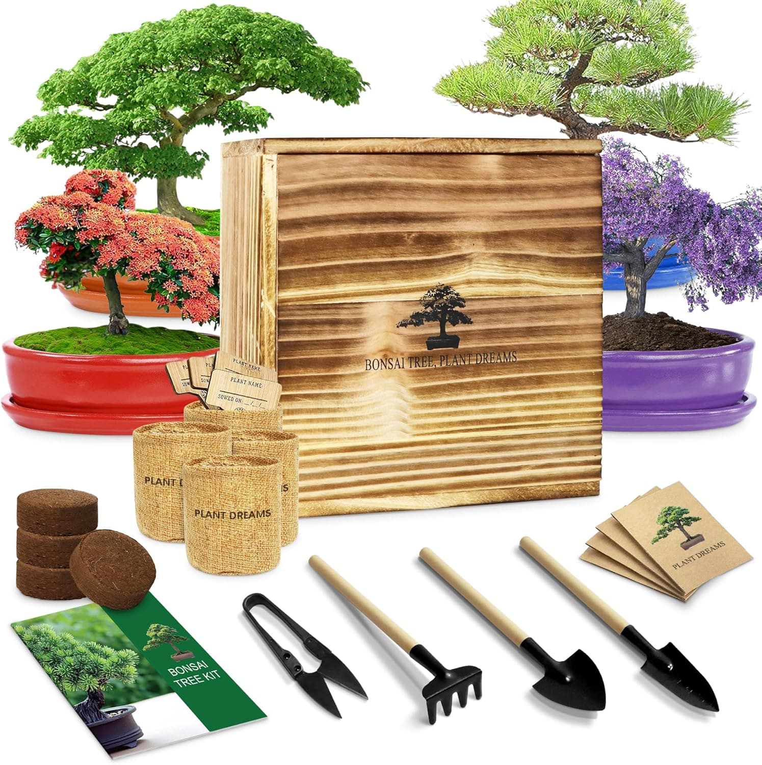 LUOJIBIE Bonsai Tree Kit - Unique Gift Set with Seeds, Planters, Soil and Instructions in a Wooden Box