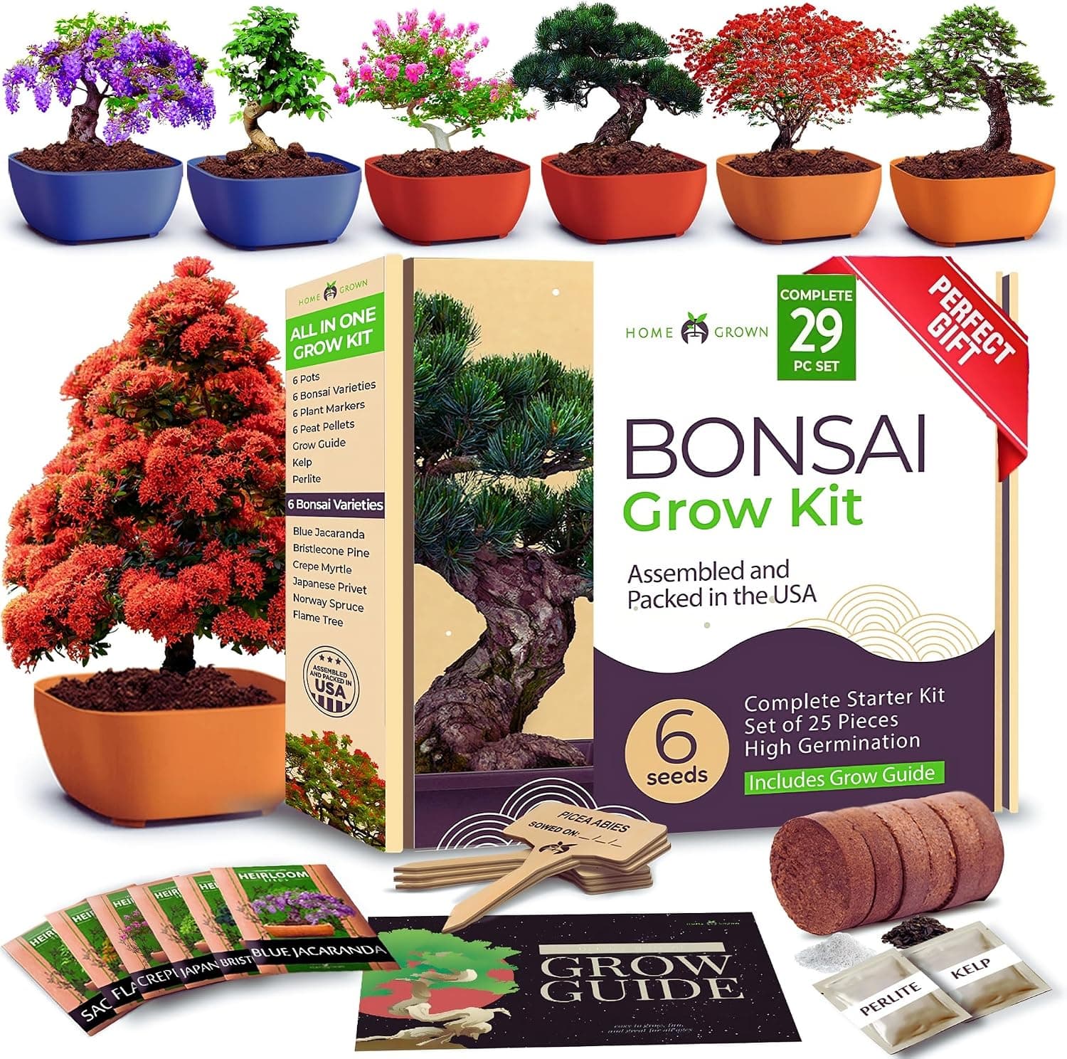 HOME GROWN Bonsai Tree Kit - 6 Heirloom Varieties with Unique Pots, DIY Bonsai Starter Kit for Adults and Beginners