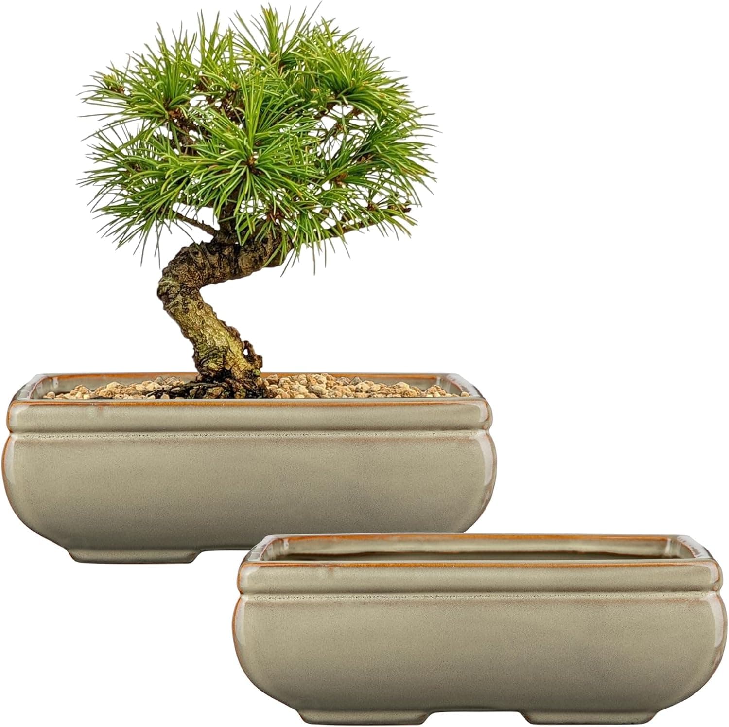 Villa Como Ceramic Bonsai Pots with Drainage Hole, Set of 2 Rectangular Glazed Brown Bonsai Planters 8.7 x 5.9 Inches