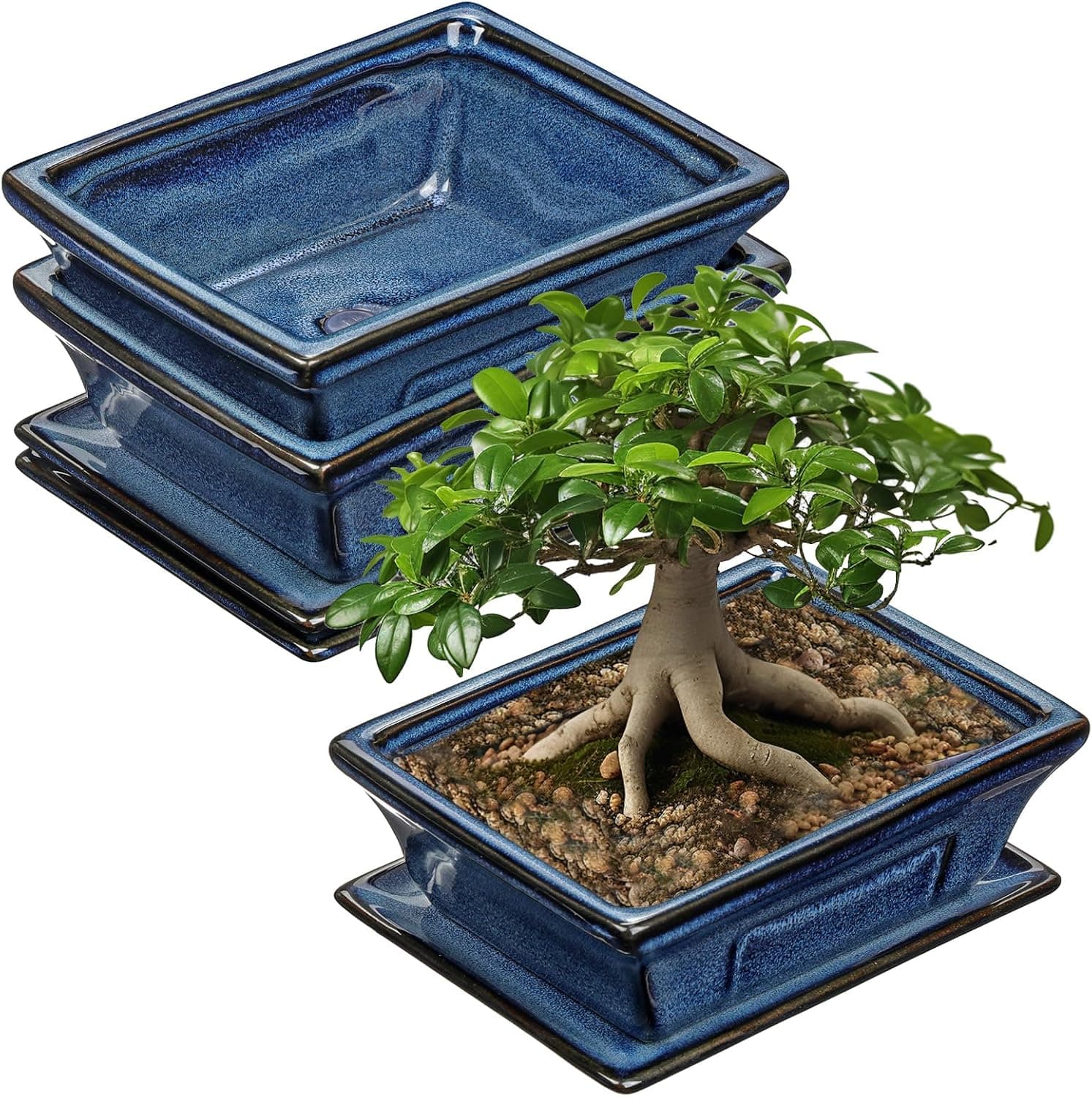 Villa Como Ceramic Bonsai Pots with Drainage Tray Set of 2, 6 Inch Blue Glazed Shallow Rectangular Planters