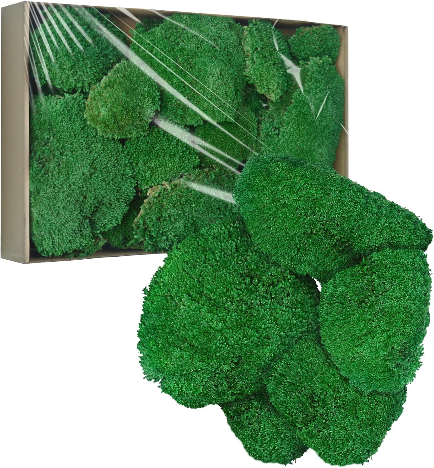 TurelinnG Preserved Moss Decor - Real Forest Moss for Crafts, Wall and Terrarium, Dark Green 2 sq ft