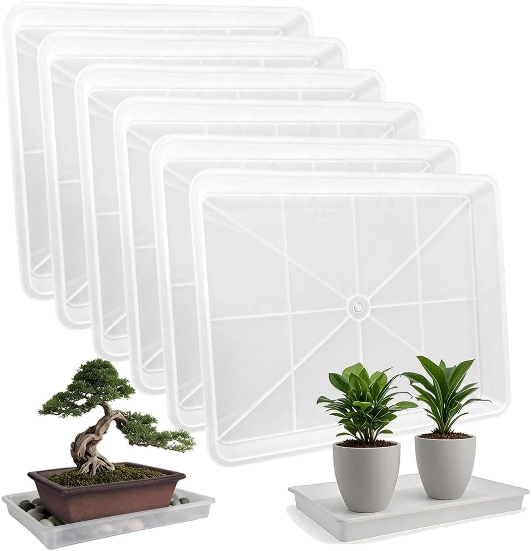 MUZHI 3 Pack Plastic Bonsai Humidity Trays, Rectangle Plant Growing Saucer Water Catcher Drip Tray, Transparent 11.5 x 8.3 Inch