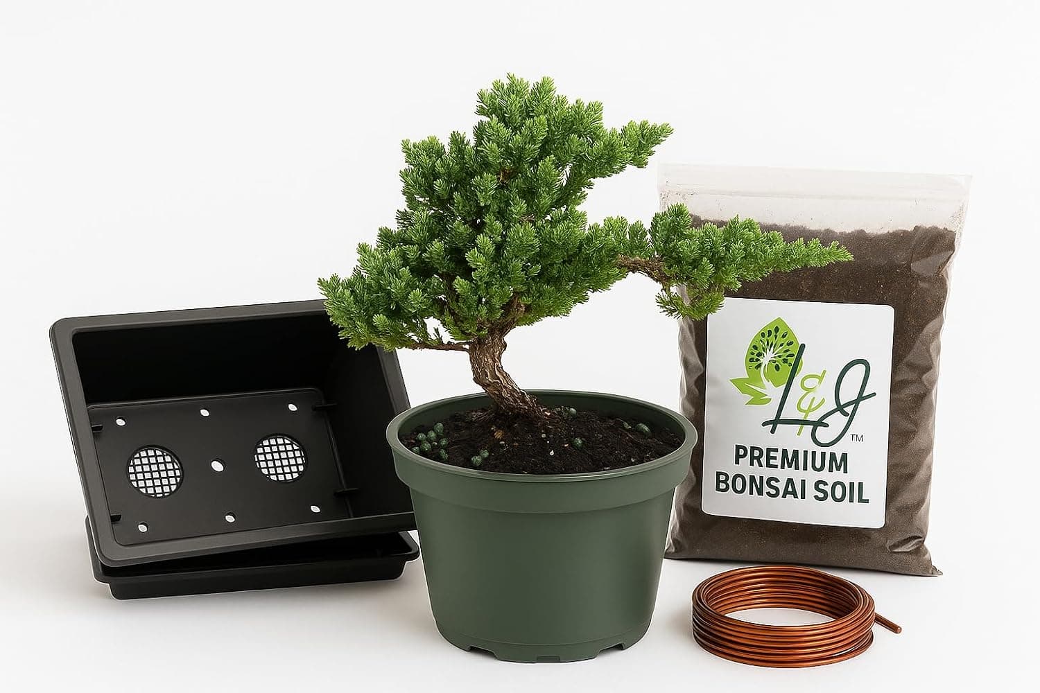 L&J Nursery Juniper Bonsai Tree Starter Kit - Live Juniper Procumbens Nana with Pot, Training Wire and Premium Soil
