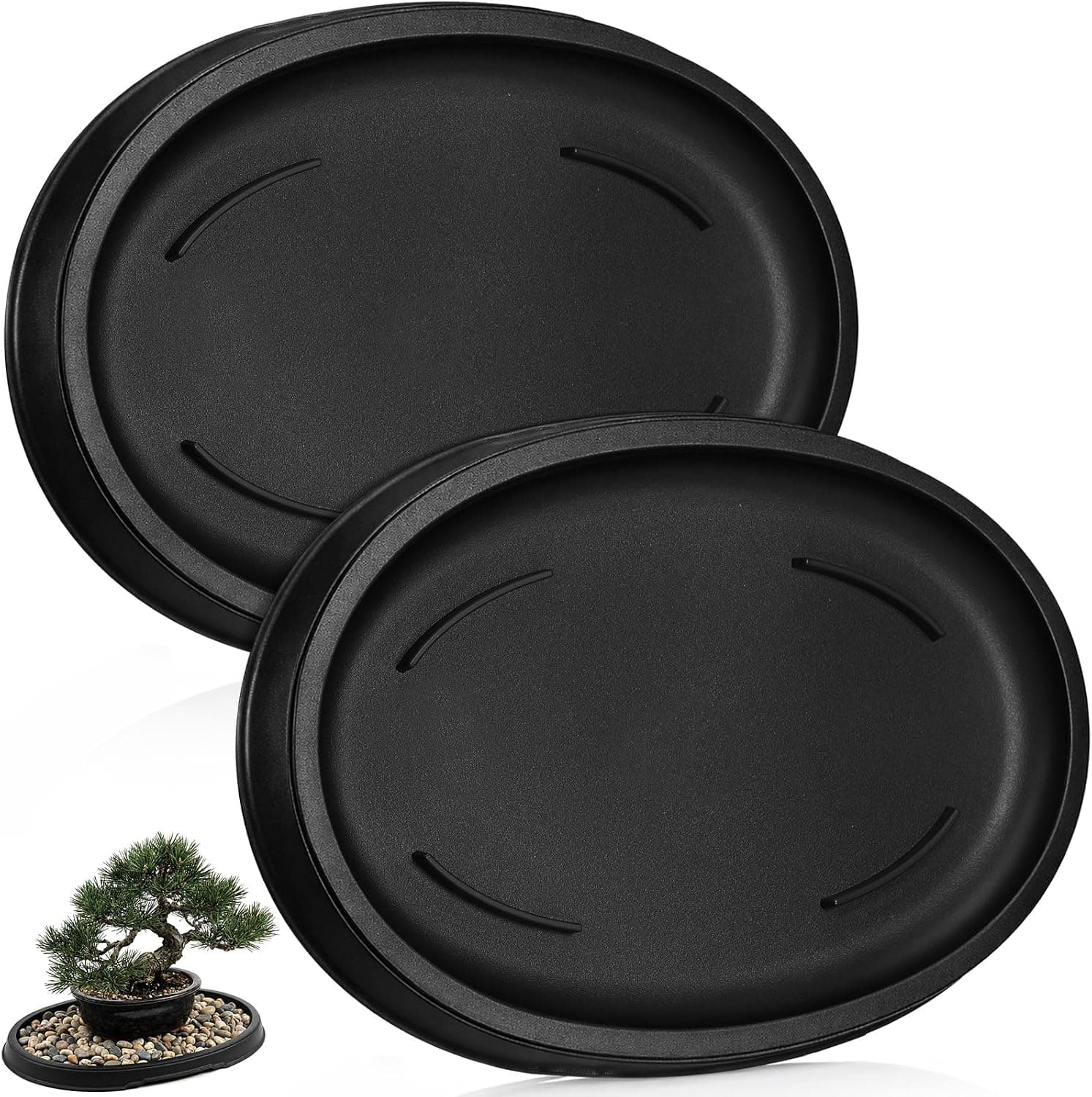 Best Drip Trays for Bonsai