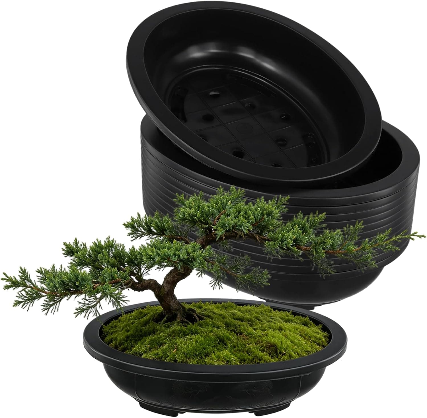 HAKZEON 12 Pcs 12 Inch Bonsai Training Pots, Matte Finish Plastic Oval Bonsai Training Pots with Drainage Hole, Black