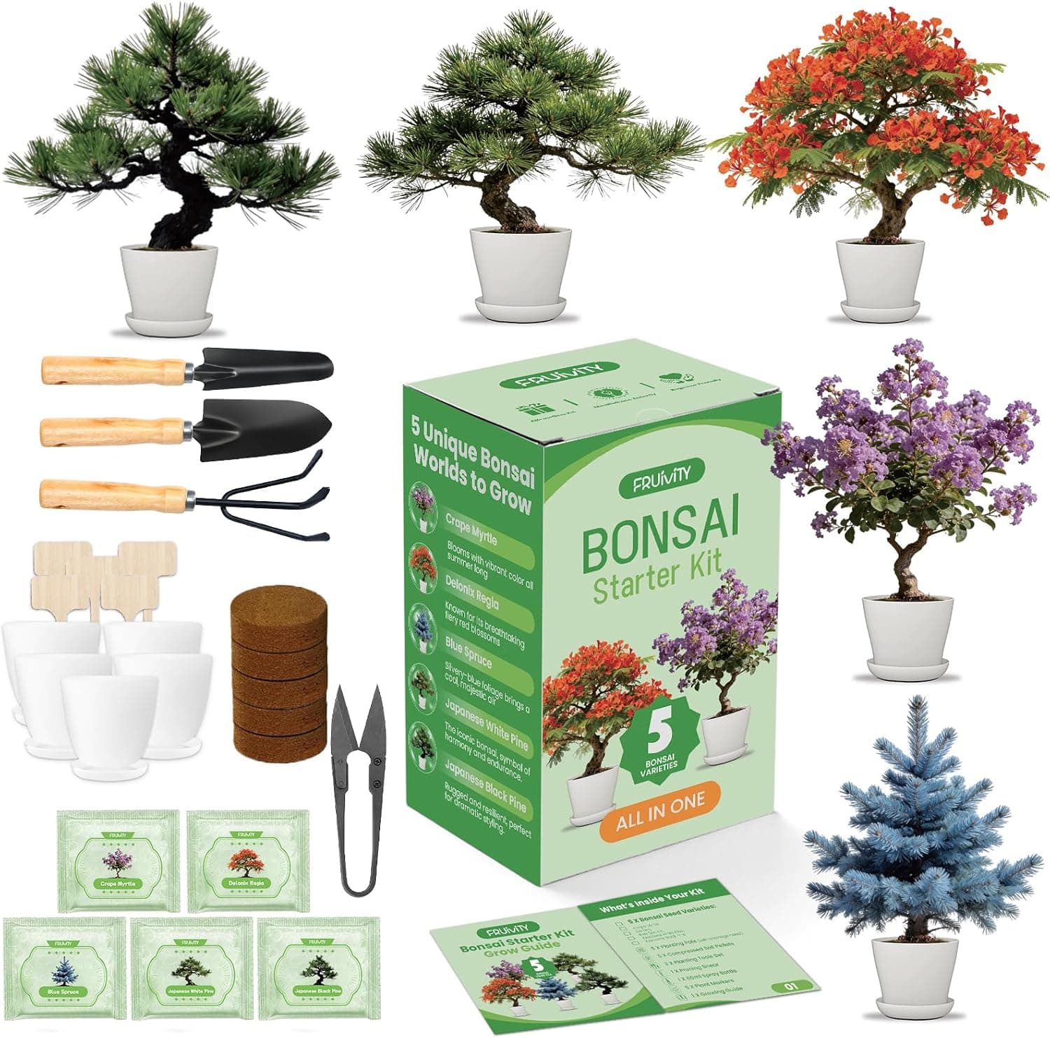 Bonsai Tree Kit for Beginners - 5 Bonsai Starter Kit with Tools and Planters, DIY Craft Gardening Gift