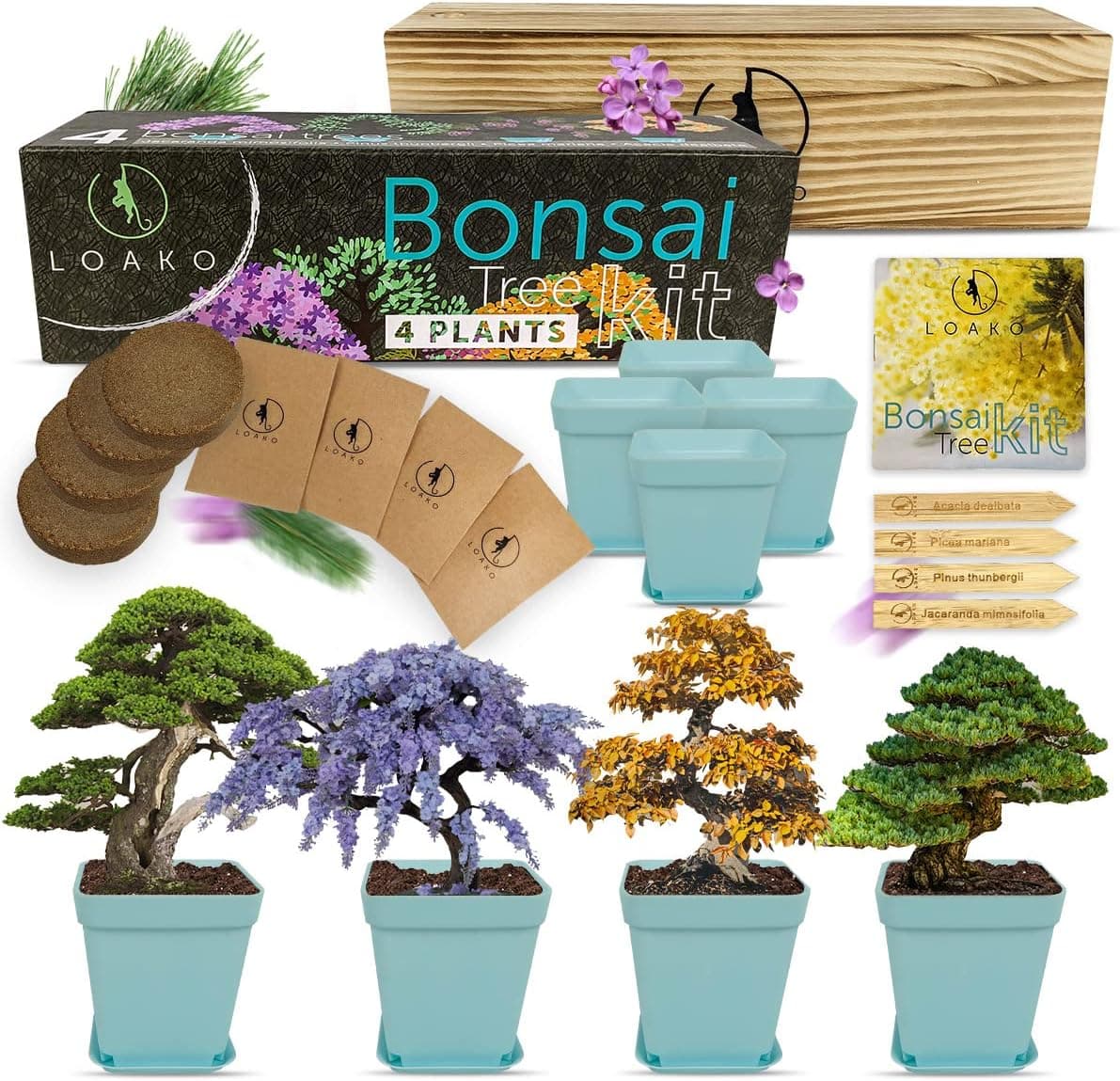 Best Bonsai Seed Kits