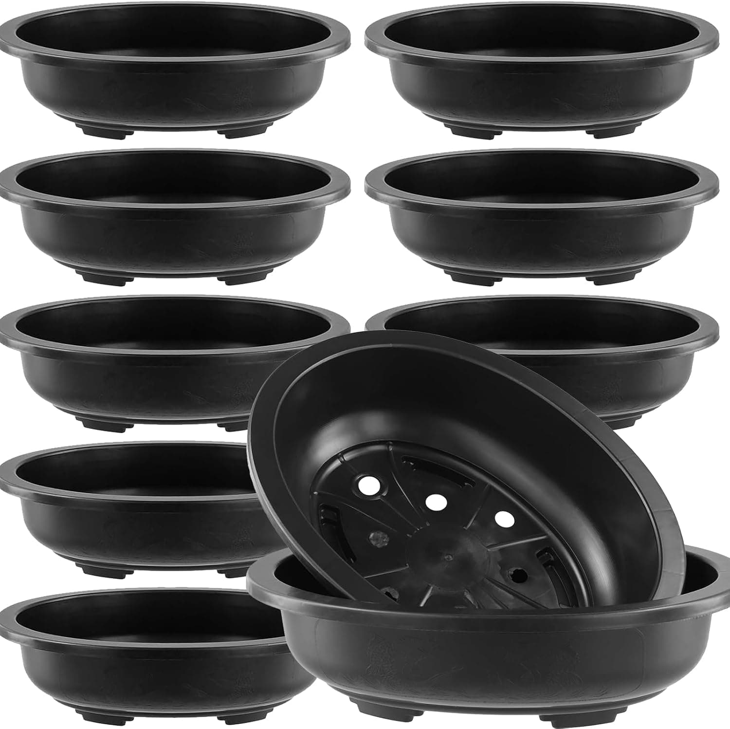 Best Bonsai Training Pots